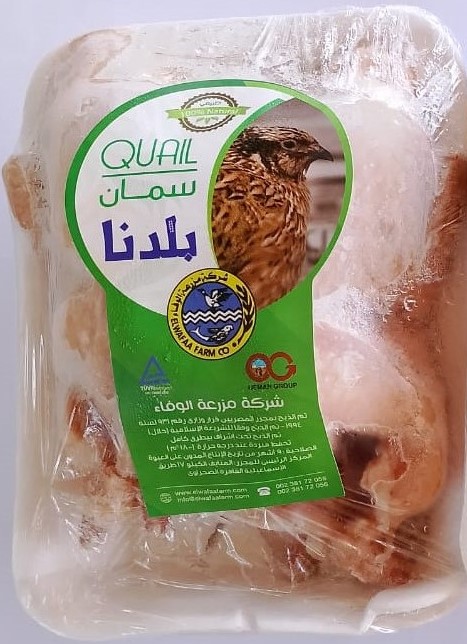 Quail